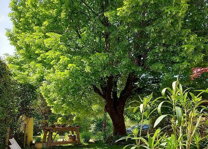 Les Pierres Blondes * Groléjac