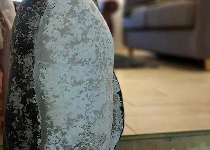 Les Pierres Blondes Groléjac